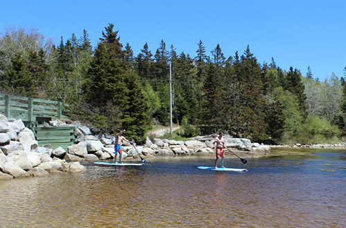 Hubbards Cove Stand-up Paddleboards