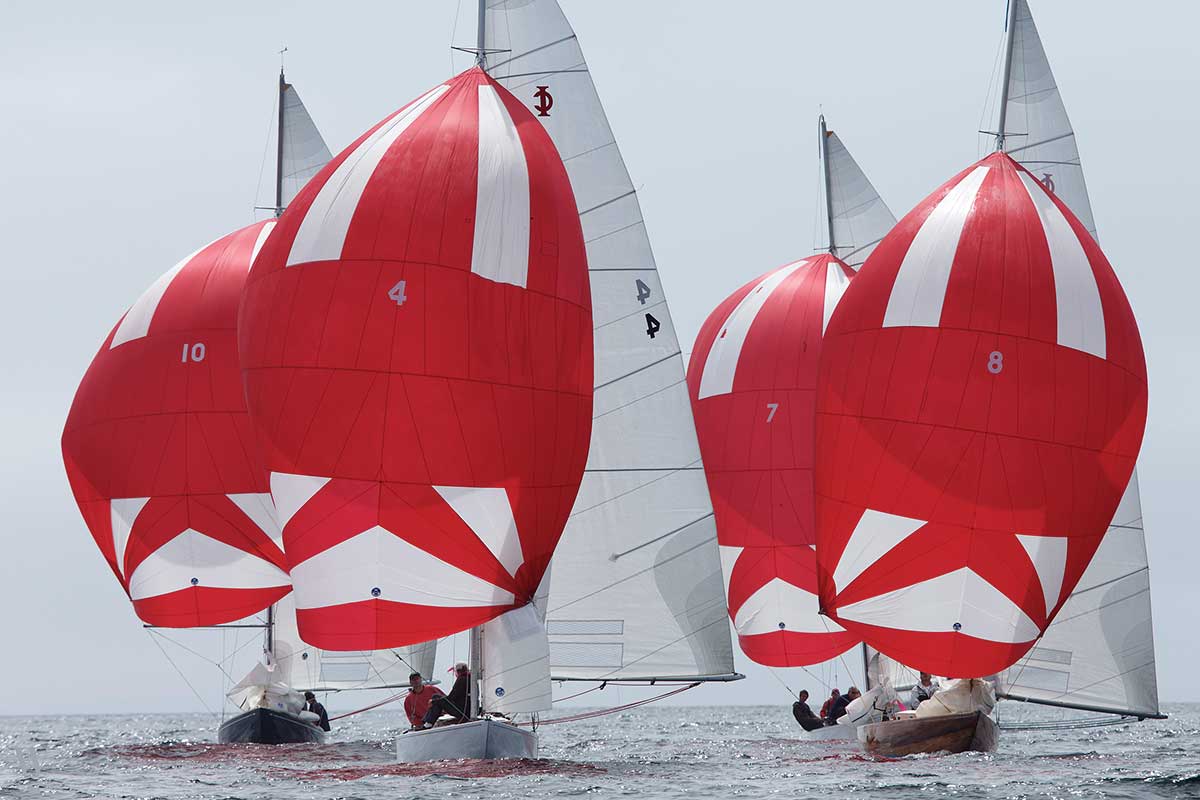 Helly Hanson Chester Race Week | Photo by Tim Wilkes